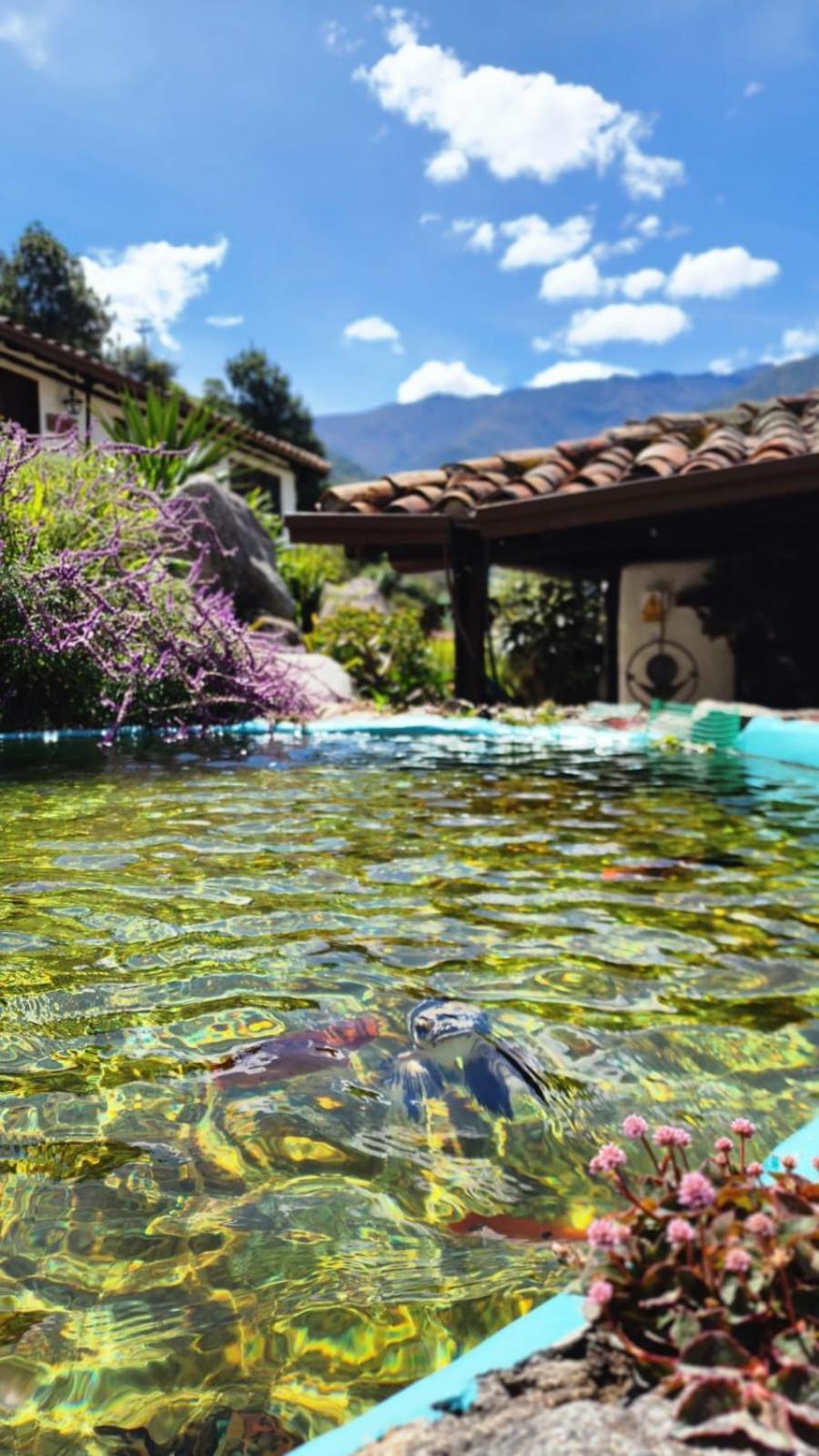 Estancia La Canada Μέριδα Εξωτερικό φωτογραφία